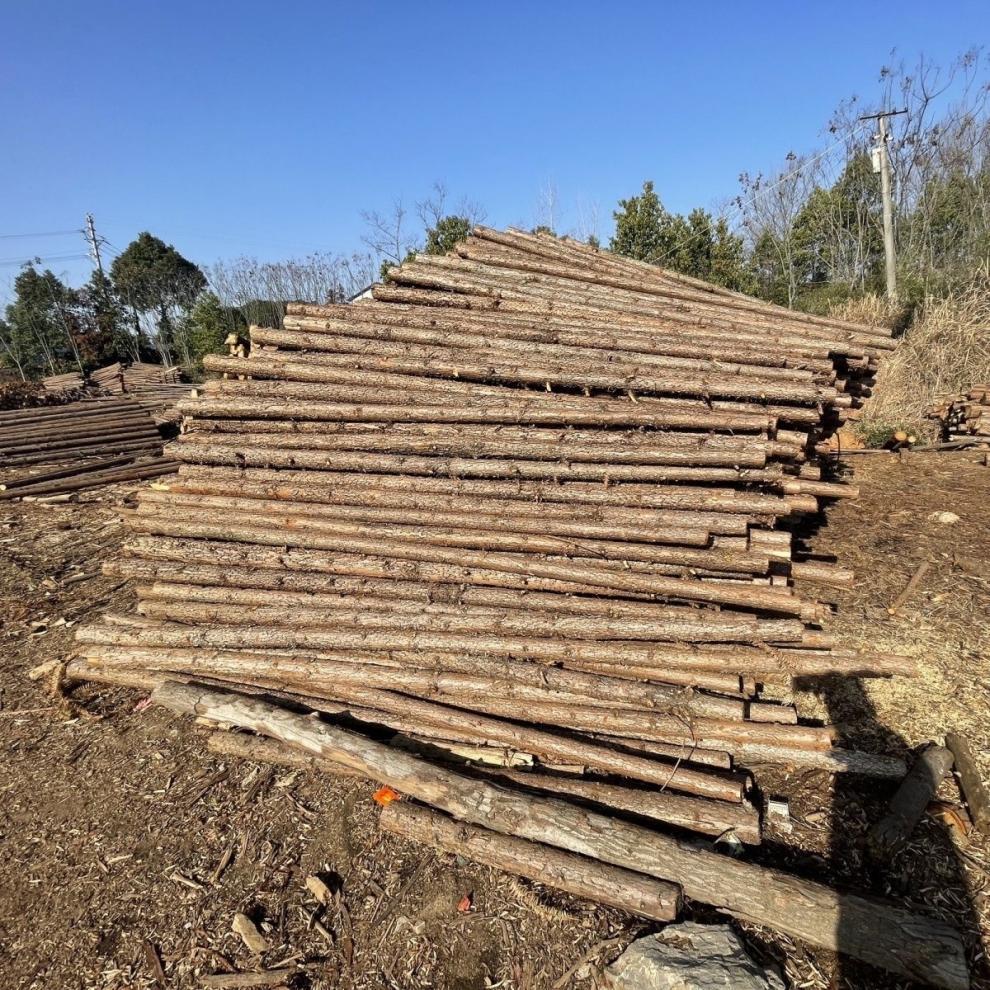 f6479343-d398-4540-a746-dedd45c62615.jpe