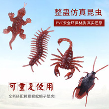 万圣节仿真蟑螂 愚人节假蟑螂逼真蟑螂整人小强整蛊小玩具批发