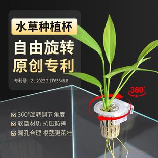Water Grass Planting Cup Yamazaki Gui Planting Wall Hanging Cup Water Grass Planting Hanger Adjustable Water Grass Cup
