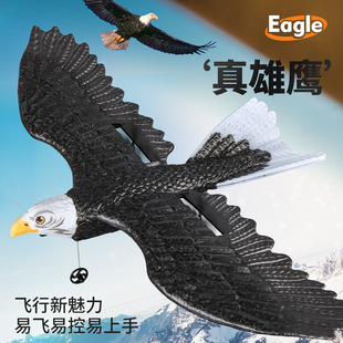 Cross-border Z59 Eagle Glider 2.4G Fixed Wing EPP Foam Remote Control Aircraft Children Airplane Model Toy