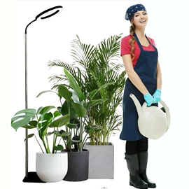 植物生长灯;LED灯杯;PAR灯