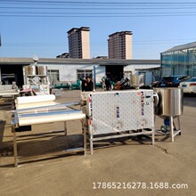 免冷冻免打芡粉条机 无矾粉条生产线 直杆模具红薯宽粉机