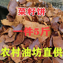 �Ͳ���˿ݲ�����Ͳ�ݻ������ЙC�ʷN���B����~��C