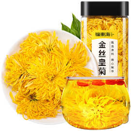 福东海金丝皇菊优质大菊花35g 一朵一杯大朵黄菊养生花草茶胎菊花