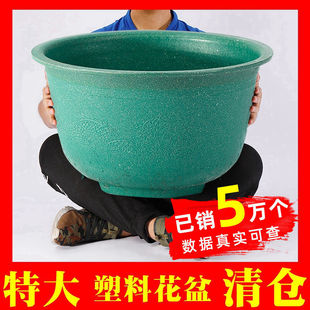 ������]�Ӻ����������ϴ����ش�̖�N��������F��ͥԺ�҉�����