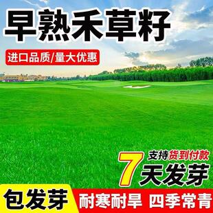 ����̲��Ѳ�ƺ�ݷN�ͺ��ļ�����N��ͥԺ�e���G���N���伾��