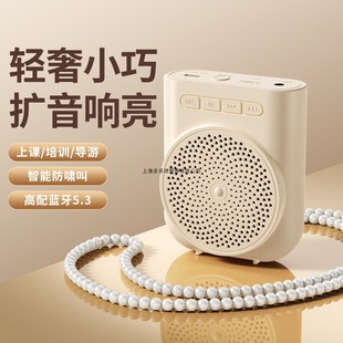 Little Bee Amplifier Teacher's Special Bluetooth Microphone Megaphone Teacher's Lecture Headset Tour Guide Speaker
