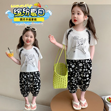 Ůͯ���b���b2026�¿ͯ�ļ��A�c��ͨ؈��Ů����������e������