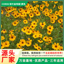 Դ^SluշNȫWN@ƷNԏmļN