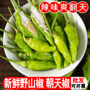 ���ڏV��Ұɽ�����콷ָ�콷̩���B�۽�С�ཷСȸ��С�����r��