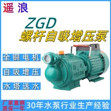 ZGD螺杆自吸泵 无塔供水自来水增压泵 大流量单相220V抽水排水泵
