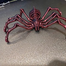 3DӡتzǼPɻտs֩ģߔ[