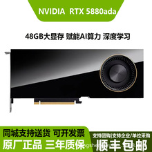 ����NVIDIA RTX5880 Ada 48G ���� ��ģ��Ⱦרҵ��ͼ���ʦ�Կ�