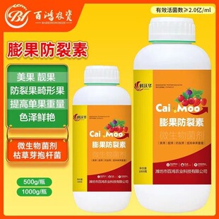 �����A��������������������n�����ѹ������ѹ�����΢�������