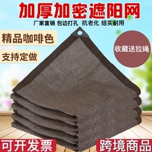 ����ɫ��ꖾW���Q����W��߅��׼Ӻ�����̨ͥԺ���ھW�羳���l