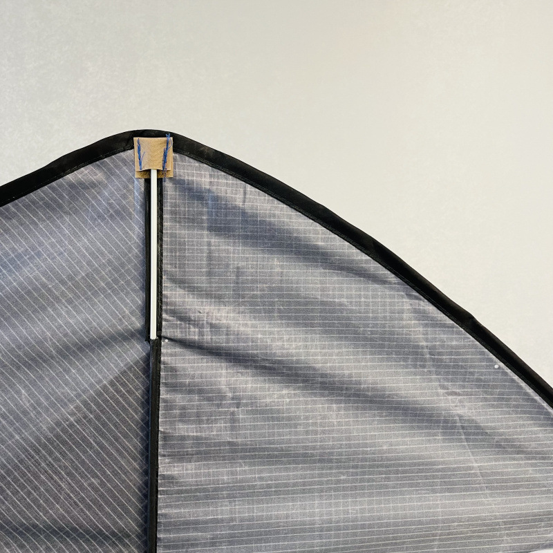 DH三角鲨鱼 (5).jpg