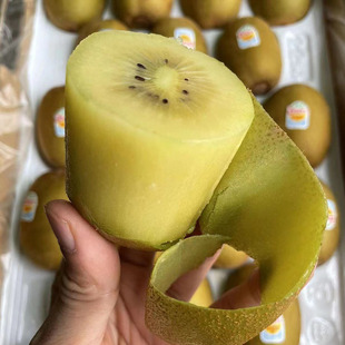 ����S���f�������m�������殐���S�īJ���Ү������r�殐��9ö