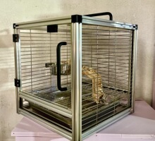 �X�Ͻ��B�\���⎧����\͸���M�z