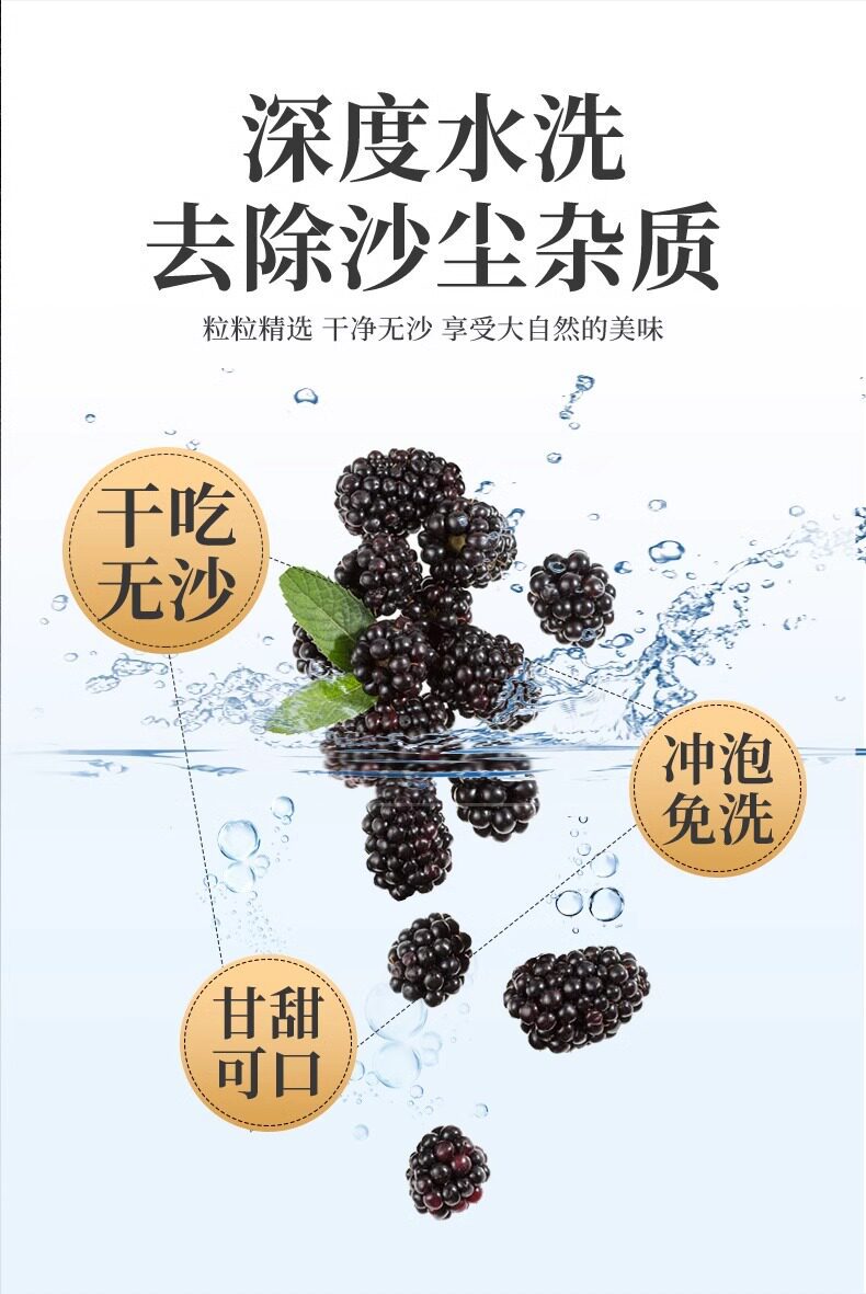 Dried Mulberry Fruit Sang Shen Zi 1500g Xinjiang Black Mulberries for Tea Wine and Snacking quality and texture