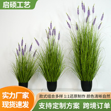 �羳޹�²ݷ��滨�JȔ�����[�����Ա��W����ֲ���쾰�b���Gֲ