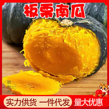 正宗板栗南瓜9斤整箱粉糯甜宝宝孕妇辅食蔬菜批发5包邮10非老贝贝