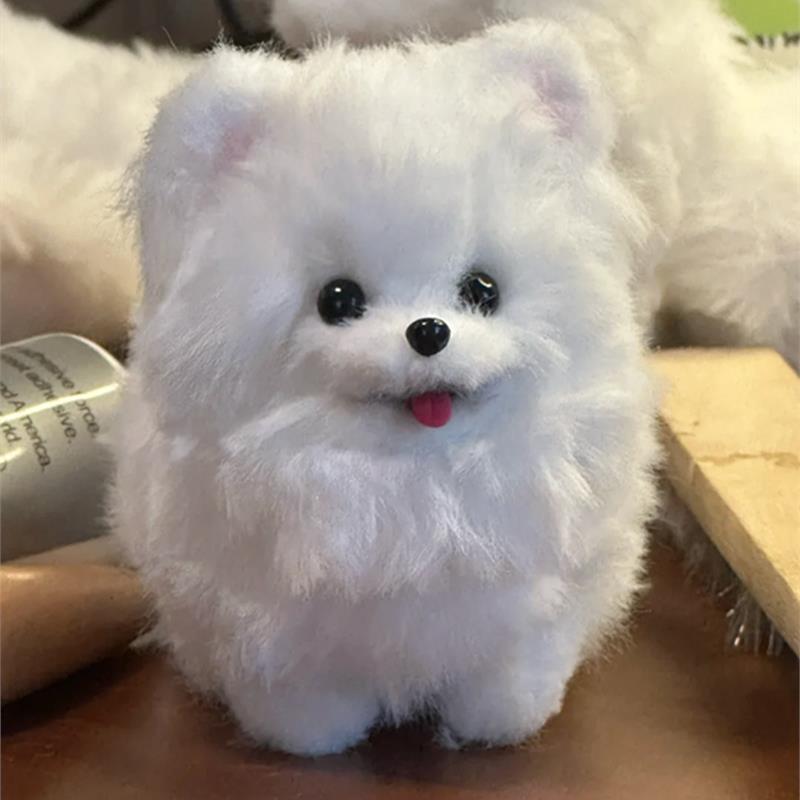 토끼털 흰색 혀 포메라니안 강아지 소재