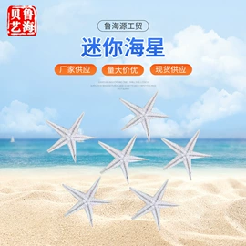 海螺/贝壳;手串;手链