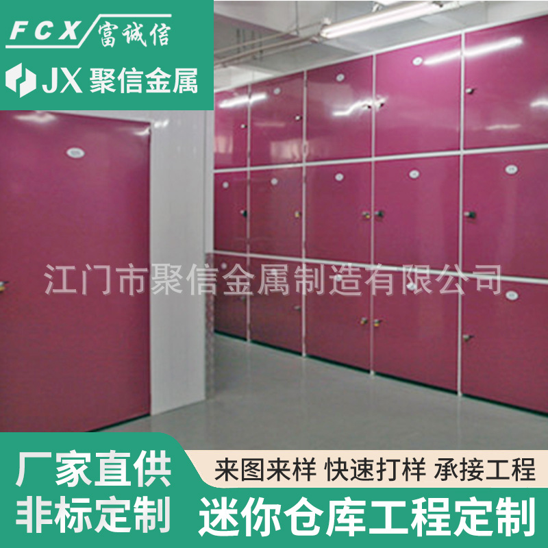 钣金加工智能储物柜 商用迷你仓工程小型仓库 健身房游泳馆储存柜