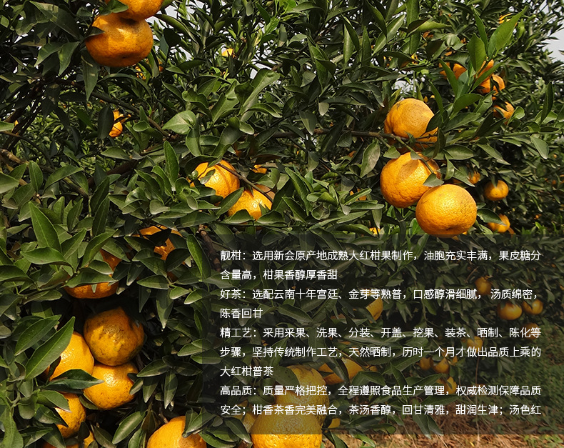 大红柑普茶_02.jpg