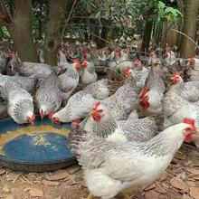 aJuuw3ﵽ3.5߮aĸuҾͿԓ쵰