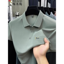 ��ľ�B���z����t����ʿ�ļ����Ipolo��������ڴ����ɰ�������T