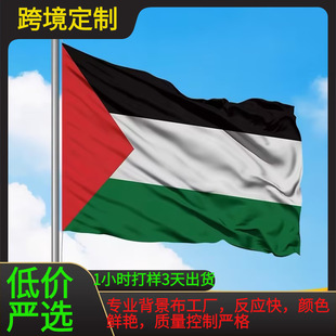 �羳���������Q���S���x����˹̹�����b��⻨�@����