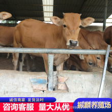 SţNţ߄ sSţţٶһ^ ţكr