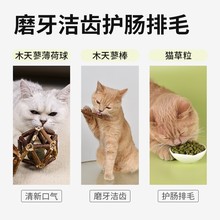 猫玩具磨牙棒木天蓼猫薄荷球逗猫棒铃铛耐咬自嗨解闷神器猫咪用品