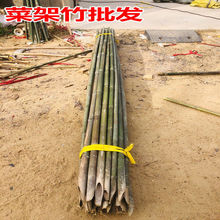 竹竿2米菜园菜架竹杆架种菜细竹竿棍豆架杆子彩旗杆粗竹子黄瓜架