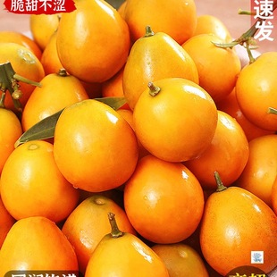 �V����Ƥ������rˮ�����Ӯ����Fժ����С��̽۽����ڰ��خa����