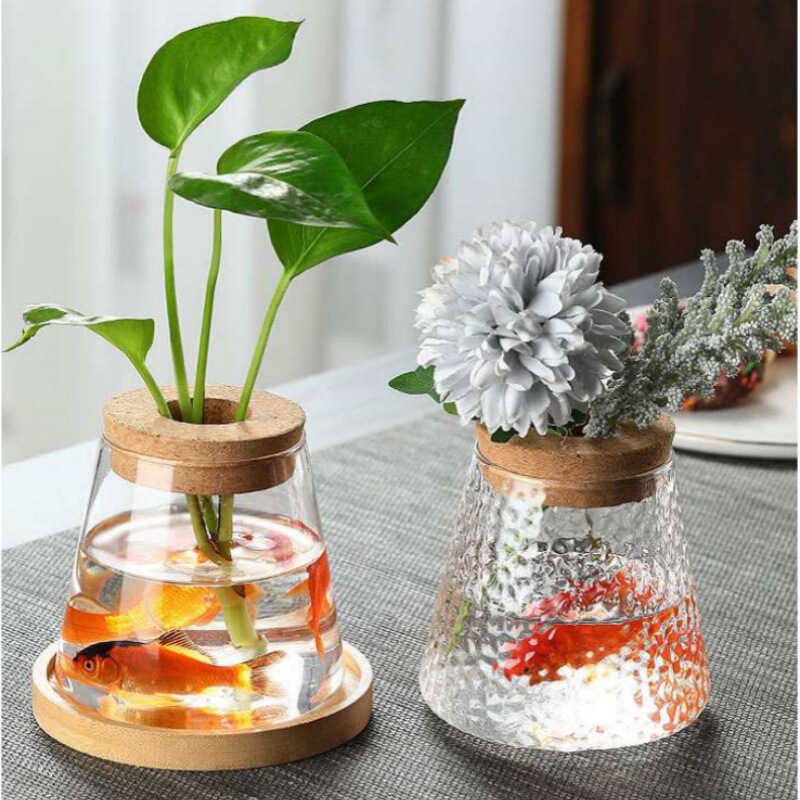 Volcano Hydroponic Plant Glass Vase Water Culture Pothos Plant Pot Ecological Fish Tank Transparent Landscape Flower Arrangement Ornaments
