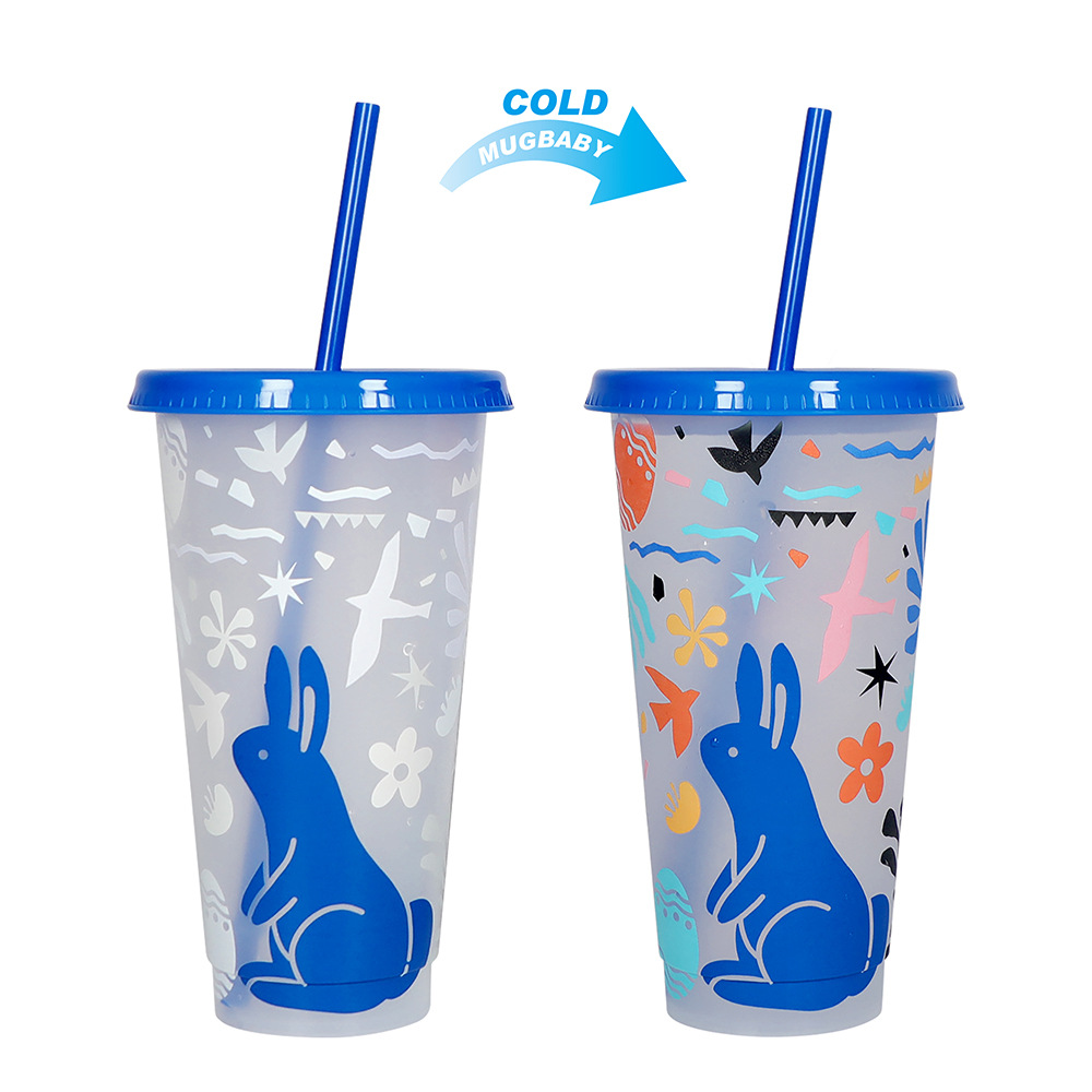 Spot transfronterizo de 710ml taza de plástico de color frío de gran capacidad PP taza de té con leche bebida fría con taza de paja con fábrica de inspección NBCU