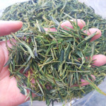 安徽高山茶新茶泾县茶叶泾县兰香汀溪兰香大南坑500g袋装包邮