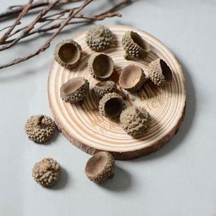 ���ñ������ɭŮ�������b��ֹ�diy���������۾���ɻ���