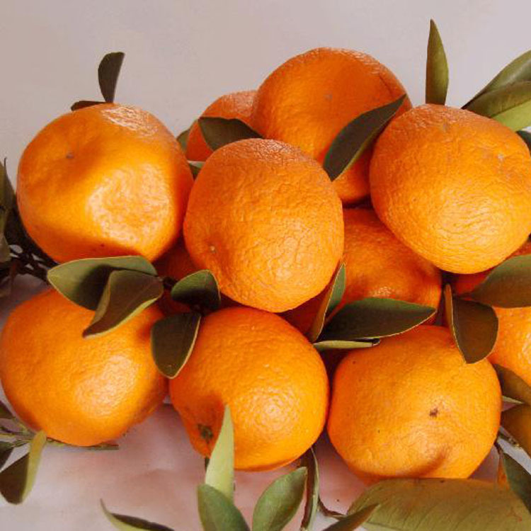 ϴ�ྫ�㾫������㾫�������㾫������㾫