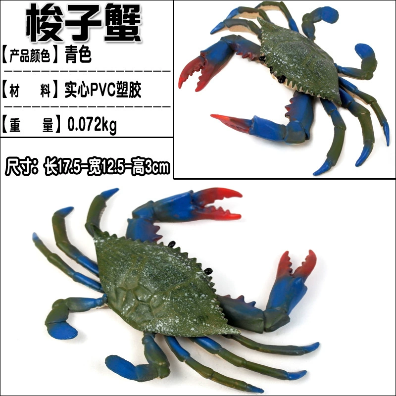 Игрушка, большие морские когнитивные украшения