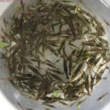 ���^�p������r�����׹��߲��~�r�坍���r���r�r���r���w�r�����