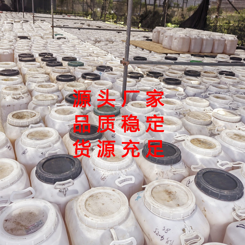 蜂蜜百花蜜洋槐蜜枣花蜜土蜂蜜荆条蜜山花蜜椴树蜜农家自产高活性