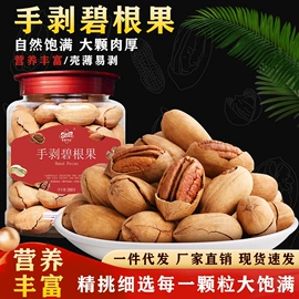 其他果干蜜饯;瓜子;豆类零食