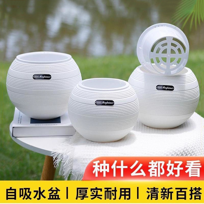 球形花盆大肚盆白色花盆无孔水培免胶水懒人自动吸水塑料厂家直销|undefined
