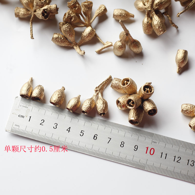 Flores secas, fruta zombie, fruta de eucalipto, campanas de viento, marcos de fotos de frutas, imanes para refrigerador, coronas, kits de materiales DIY de fruta seca hecha a mano, venta al por mayor de fábrica.