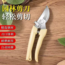 清洁球/刷;厨房小工具;其他居家日用