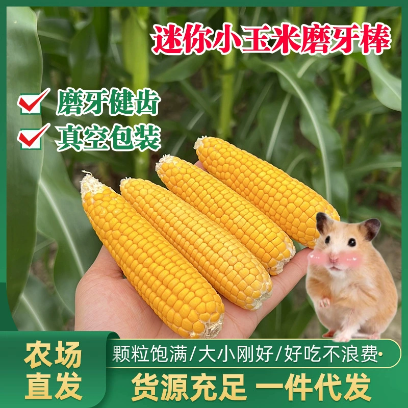 Игрушка-жевалка для хомяков: кукуруза для кроликов, шиншилл, морских мышей, мини-кукуруза для золотых хомяков, жевательная палочка для домашних животных