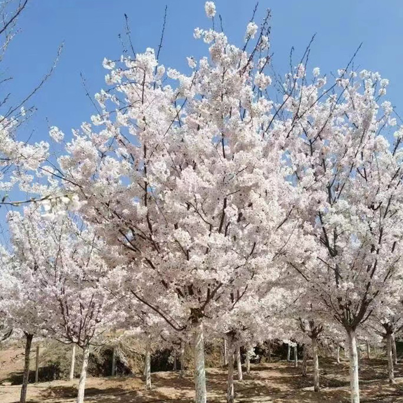 微信图片_20230818145912 副本.jpg